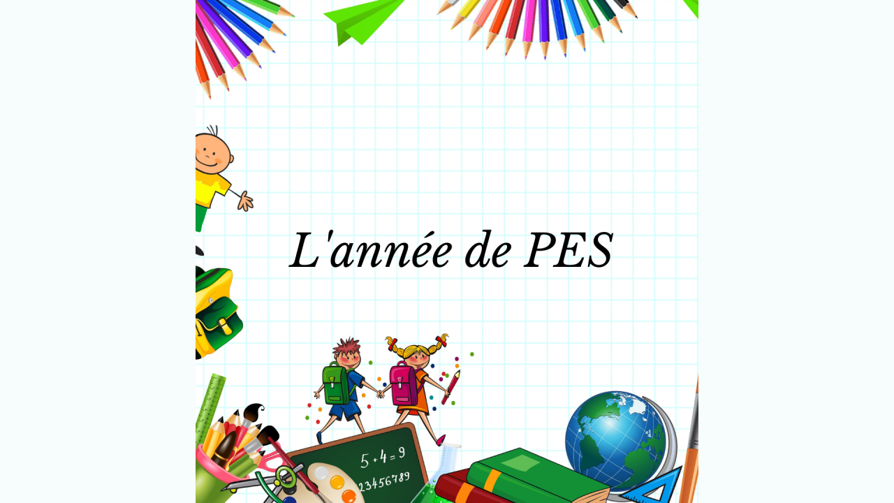 Explications année de PES