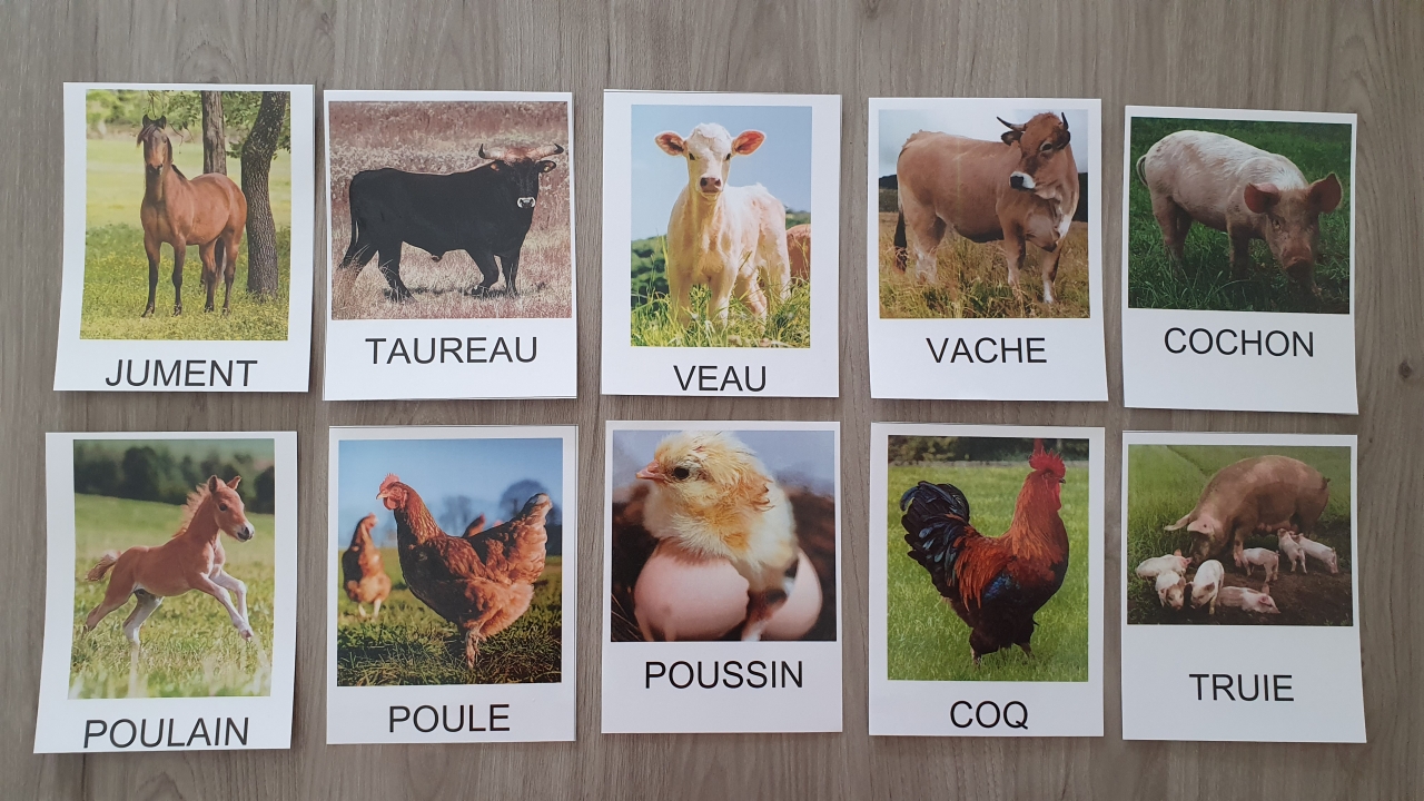 Cartes animaux ferme