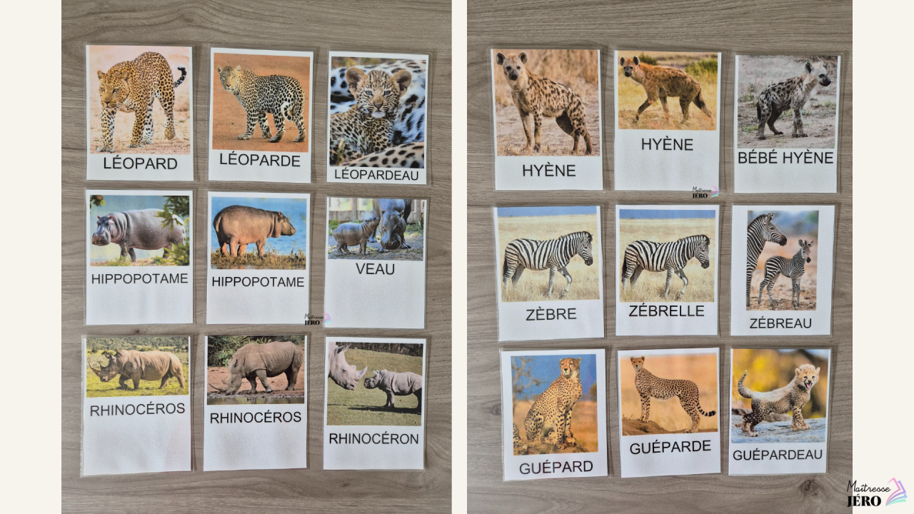 carte de vocabulaire animaux savane maternelle PS-MS suite 2