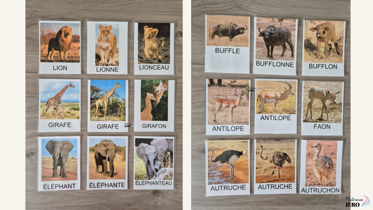 carte de vocabulaire animaux savane maternelle PS-MS suite