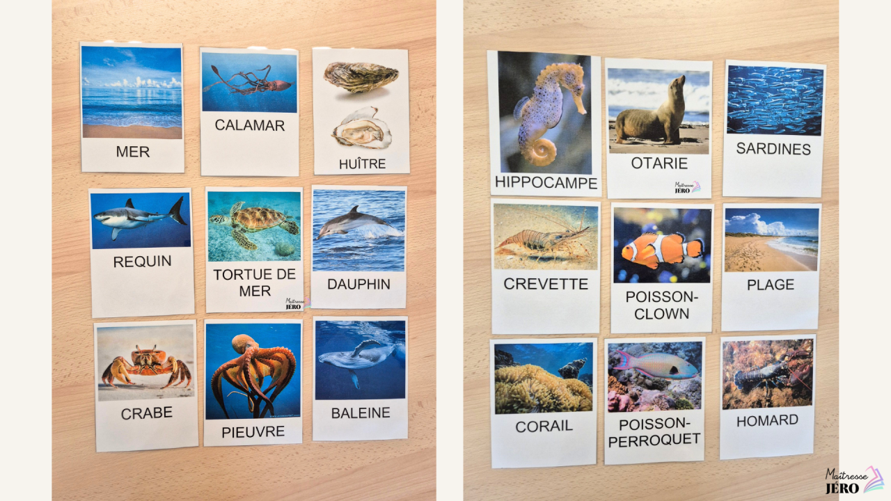 vocabulaire animaux marins, maternelle, PS-MS 3
