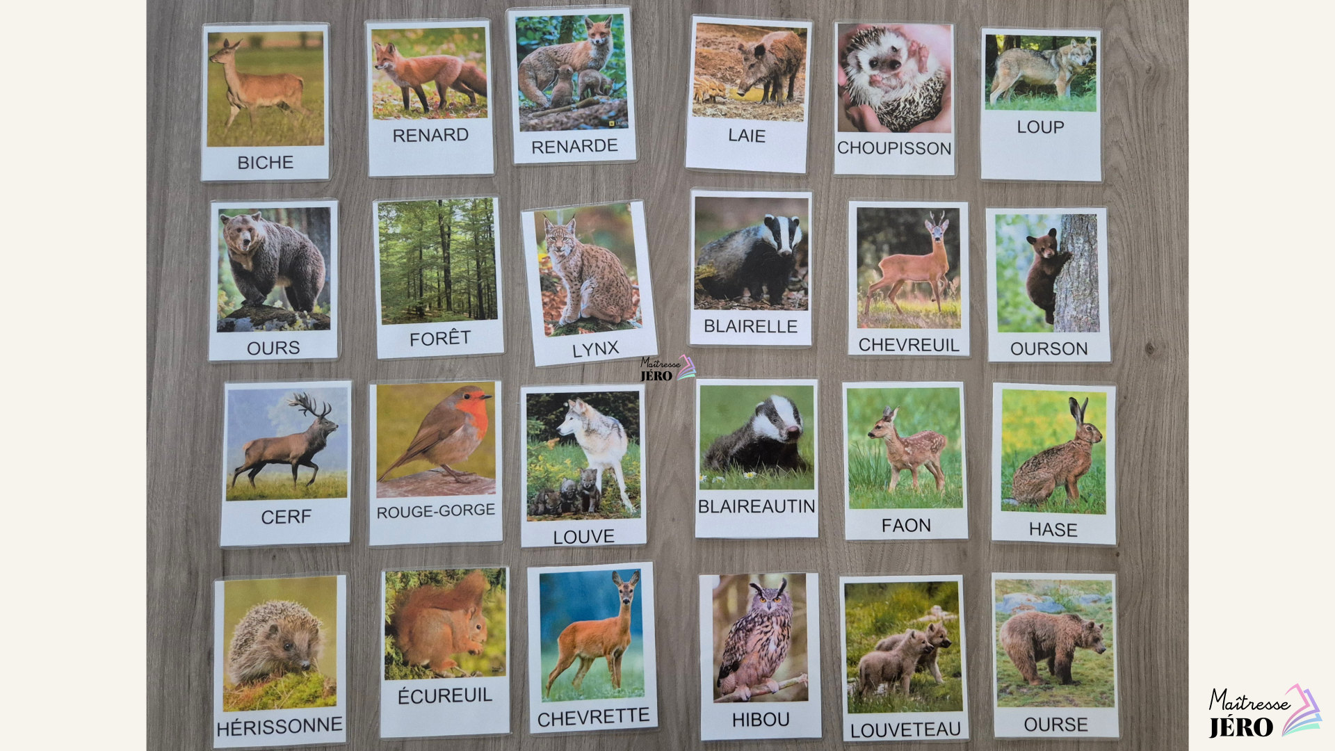 carte vocabulaire animaux forêt