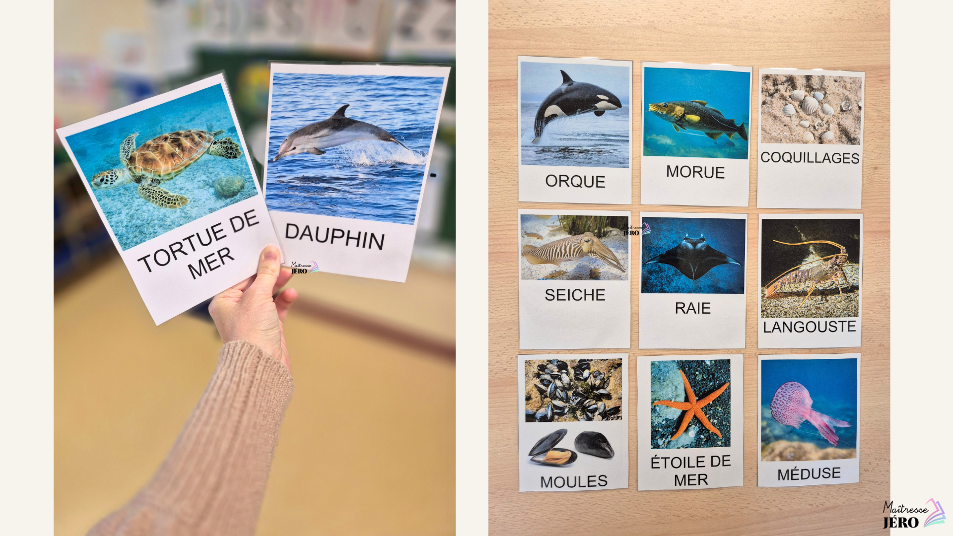 vocabulaire animaux marins, maternelle, PS-MS