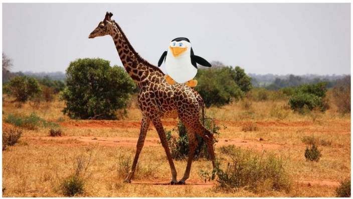 Girafe avec Mobi la mascotte