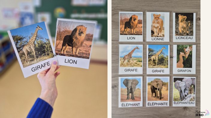 carte de vocabulaire animaux savane maternelle PS-MS